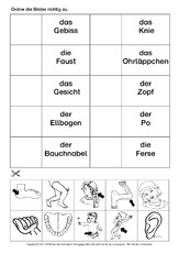 AB-Körperteile-zuordnen-4.pdf